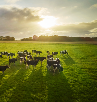 Arla, Lantmännen och Chalmers krokar arm för att möta hållbarhetsutmaningen. Foto: Arla
