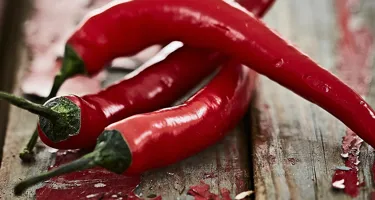 Chili – olika typer av chilifrukter och när de används