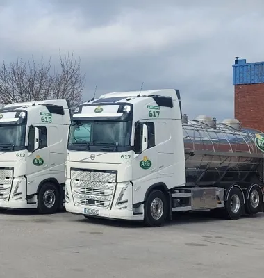 Mjölkpriset till Arlabönderna klättrar över 5 kronor per kilo för första gången sedan mars 2023. Foto: Arla