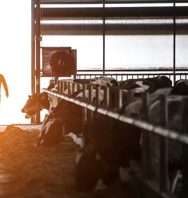 Arla välkomnar att Svensk Mjölk blir ny delägare i Tillväxtbolaget