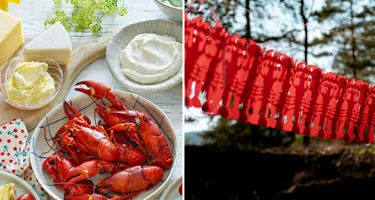 Kräftskiva – recepten och tipsen för en lyckad kräftfest