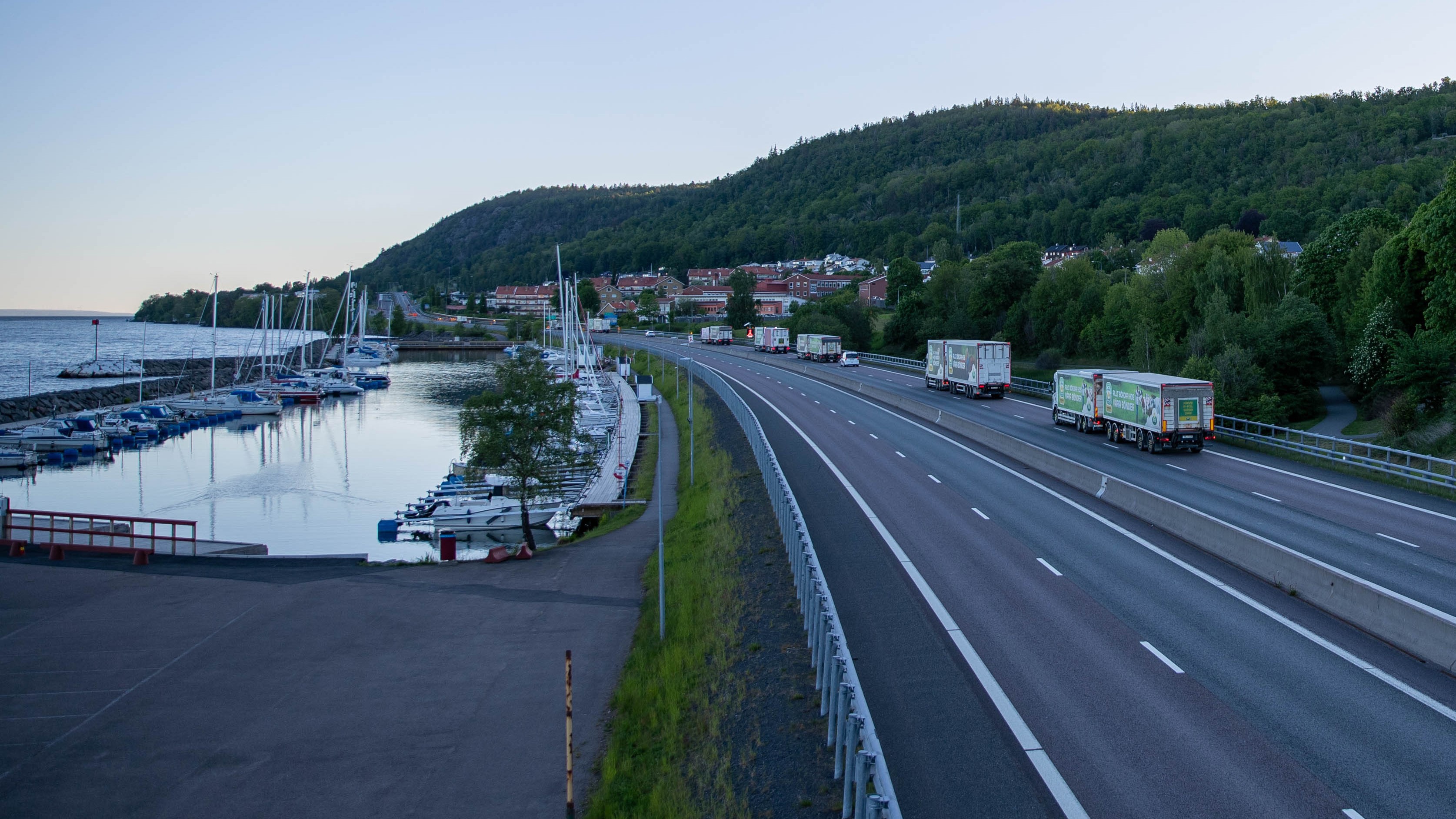 Den senaste tidens värmebölja i Europa har lett till minskad mjölkproduktion i flera länder. Foto: Arla/Fredrik Gustavsson