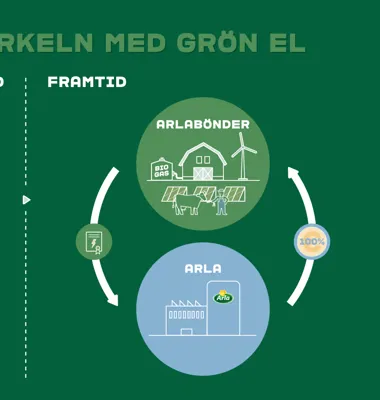 Arla uppmuntrar mjölkbönder att producera mer grön el