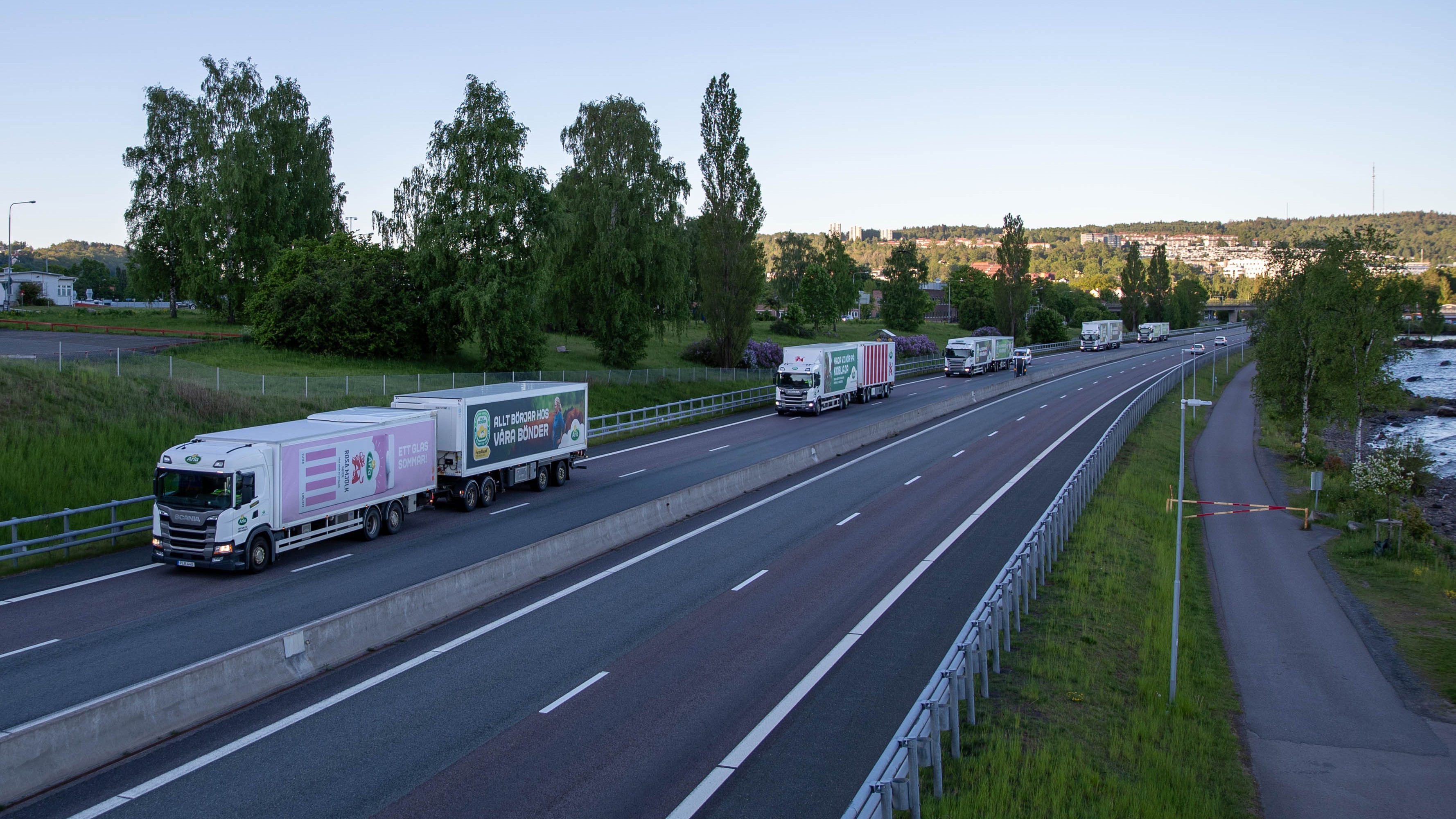 Den globala efterfrågan på protein fortsätter att ge stöd åt mejerimarknaden, samtidigt som värdet på mjölkfett är betydligt lägre än för ett år sedan. Foto: Arla/Fredrik Gustavsson