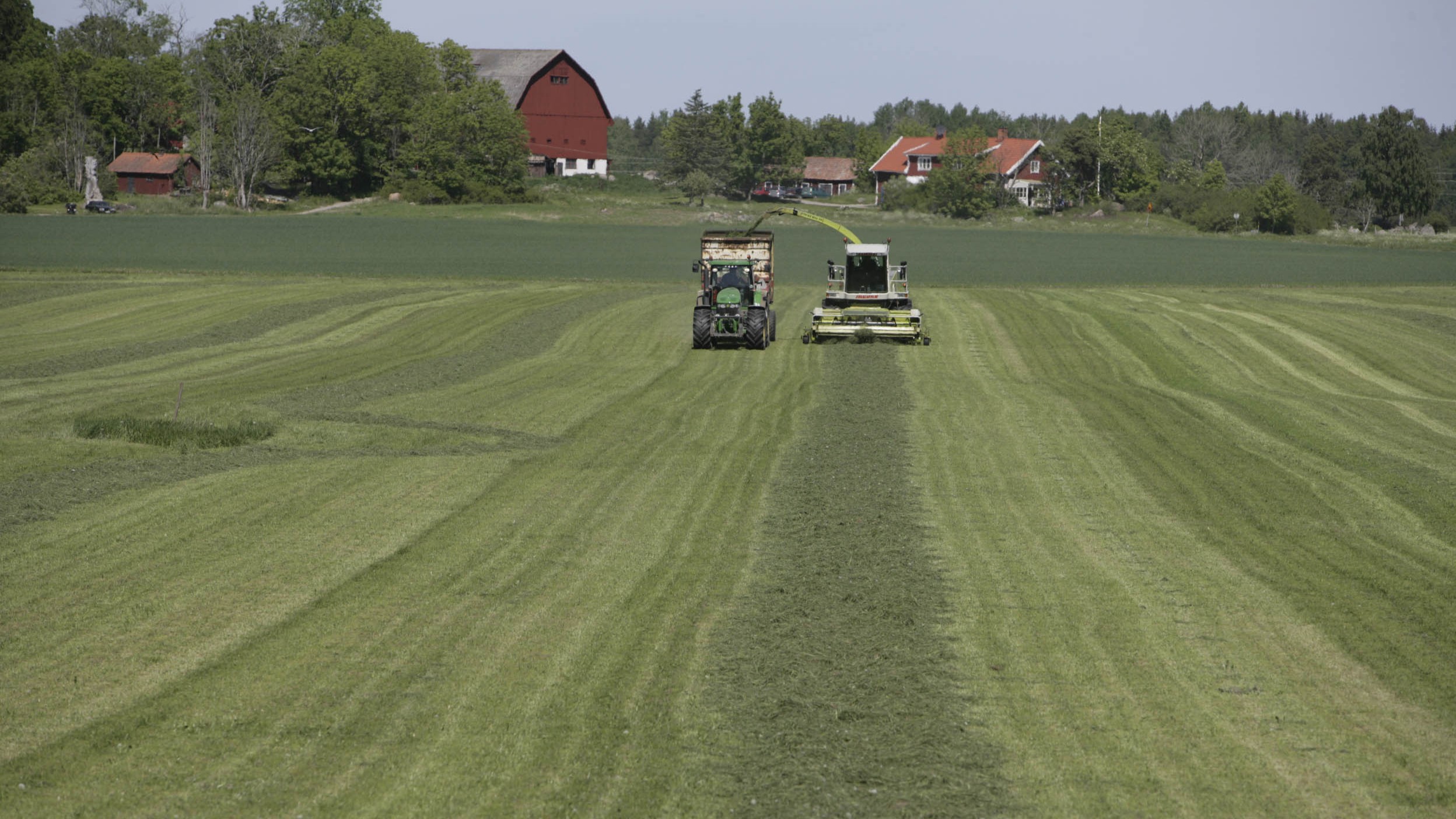 Svenska lantbrukare är redo att investera i biogasproduktion, om bara regeringen ger dem chansen, skriver artikelförfattarna. Foto: Arla