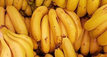 Frukt – tips för fräschare frukt och bär