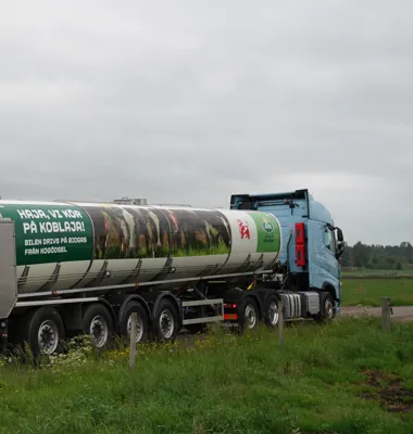 Var tredje månad gör Arla en valutajustering, eftersom det gemensamma mjölkpriset är satt i euro. Kursen baseras på ett genomsnitt av de senaste åtta kvartalen. Foto: Arla