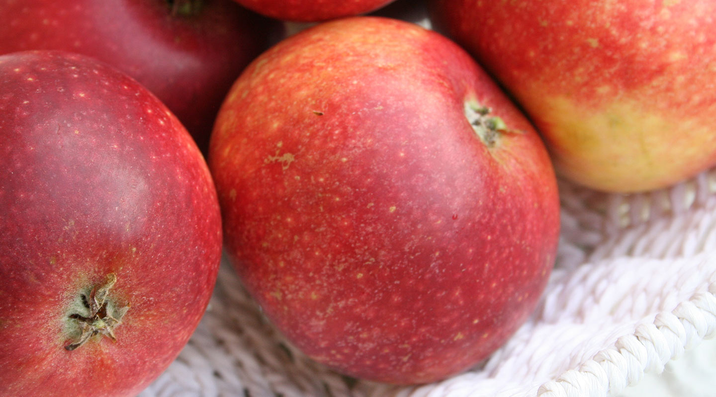 ingridmarie-1440x800