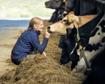 Arlabonden om kornas unika personligheter: "En del sticker ut mer än andra"