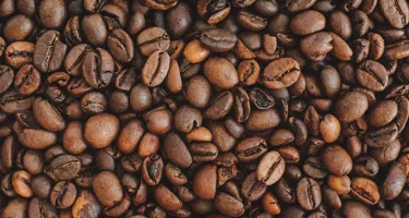 Kaffets urpsrung och hur det tillverkas