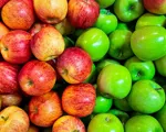 Äppelsorter – svenska och utländska äpplen vi älskar