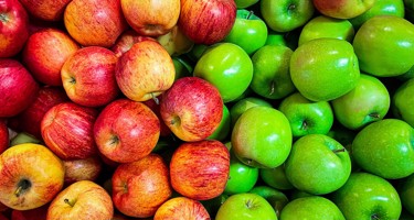 Äppelsorter – svenska och utländska äpplen vi älskar