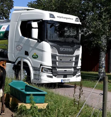 Arla gör inga ändringar av mjölkpriset till bönderna i maj. Ersättningen ligger på 623,4 öre per kilo för konventionell mjölk och 712,7 öre per kilo för ekologisk. Foto: Arla