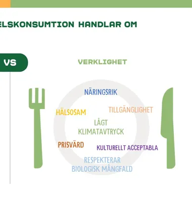 Konsumenter förknippar inte näring med hållbar livsmedelskonsumtion