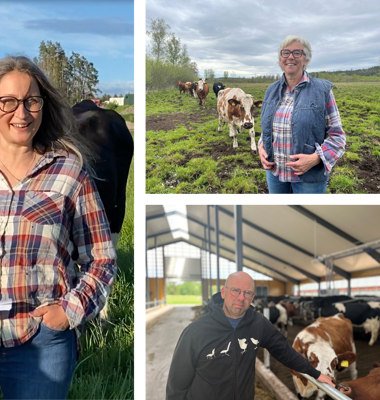 Från vänster: Daniel Halmsjö, Inger-Lise Sjöström, Marita Wolf och Gustav Kämpe.
