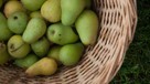 Päron – sorter och näringsvärde