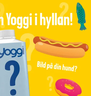 För första gången får en konsument skapa en egen Yoggi, som kommer att säljas i butiker runt om i Sverige under hösten 2023. Foto: Arla