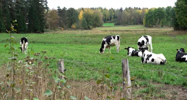 Regenerativt jordbruk – vad är det?