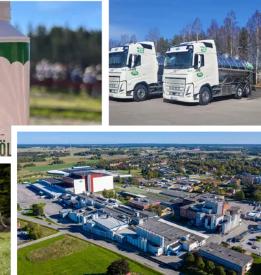 Utgångspunkten för medlemskap är att gården ligger rätt till och att man uppfyller Arlas kriterier för medlemskap inom bland annat djuromsorg och miljö. Foto: Arla