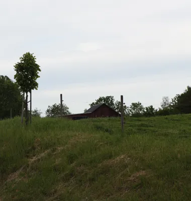 Det senaste årets skenande priser på el, foder, bränsle, gödningsmedel och andra varor till gården fortsätter att pressa många Arlabönder. Foto: Arla