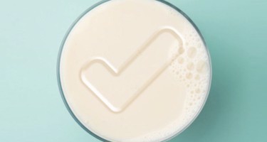 What’s the difference between milk and alternatives?