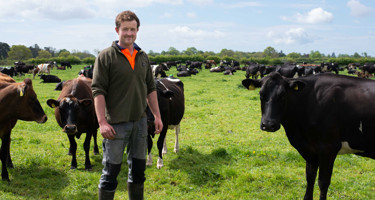 Arla to reward farmers for sustainability actions with new incentive model