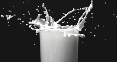 Is lactose-free milk dairy-free? 