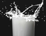 What is a lactose-free milk drink?