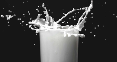 What is a lactose-free milk drink?