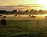 What is sustainable farming?
