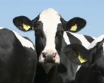 Farming and emissions