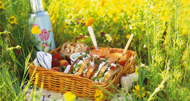 Picnic snacks and finger food