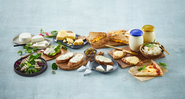 Is lactose free the same as dairy free?