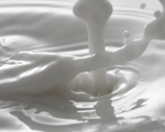 How much protein is in milk?