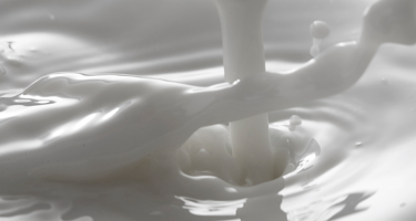Protein in milk