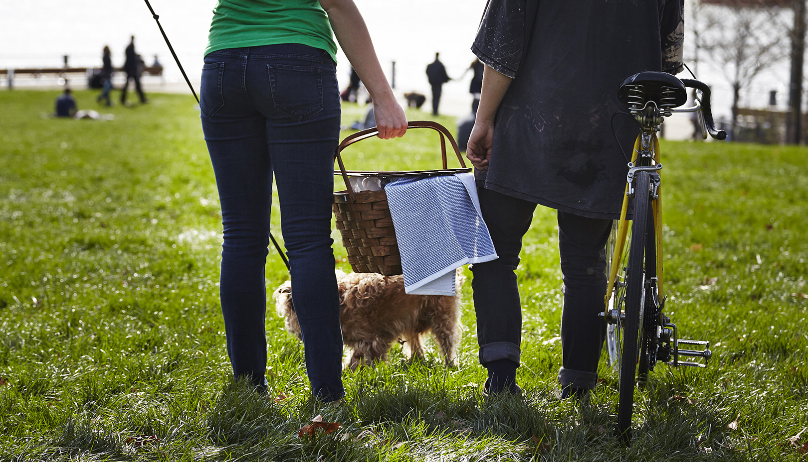 Where to go on a picnic?